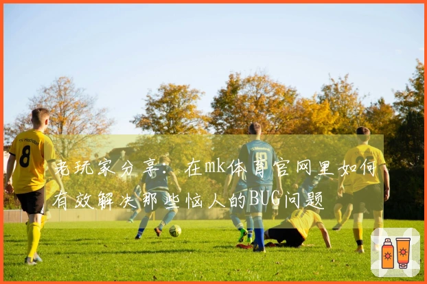 老玩家分享:在mk体育官网里如何有效解决那些恼人的BUG问题