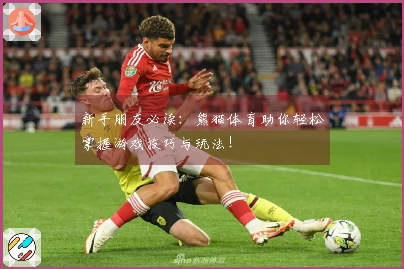 新手朋友必读：熊猫体育助你轻松掌握游戏技巧与玩法！